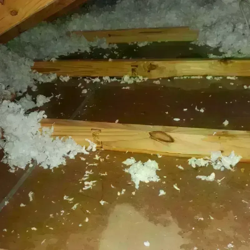 Attic Water Damage in Knox County, OH