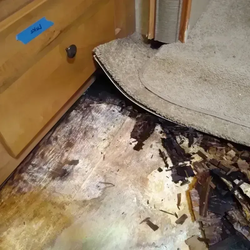 Wood Floor Water Damage in Knox County, OH